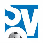 格平杰SV